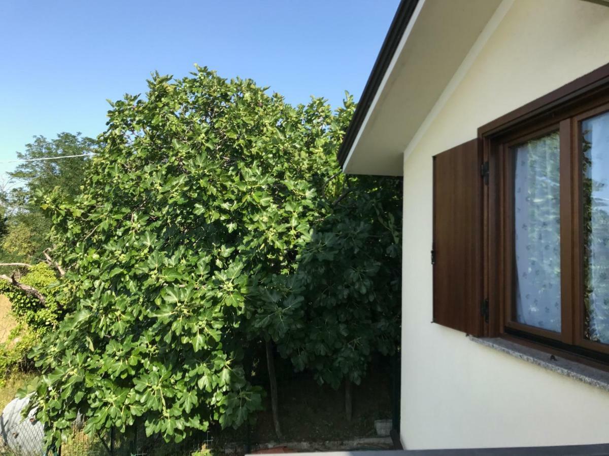 La Casa Di Nonna Bruna 穆贾 外观 照片
